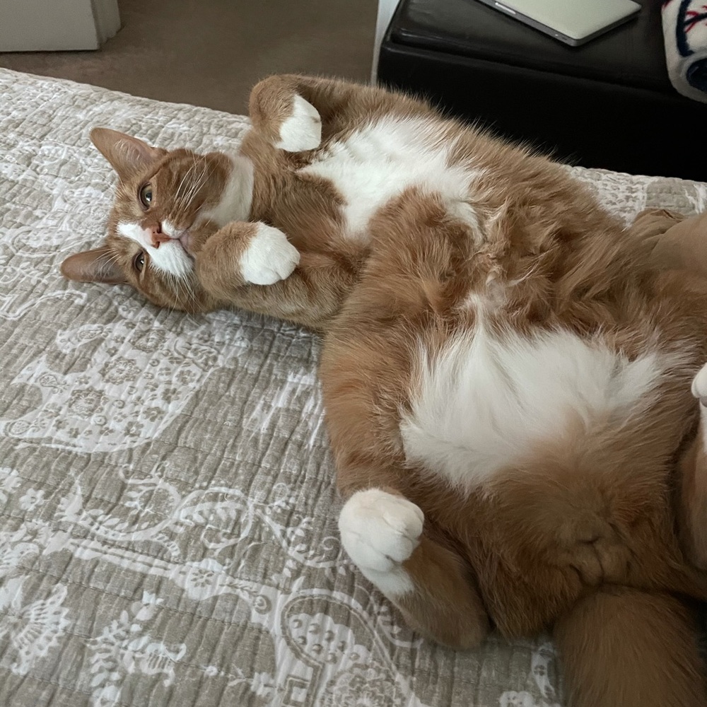 Meet your Posher, Tatyana